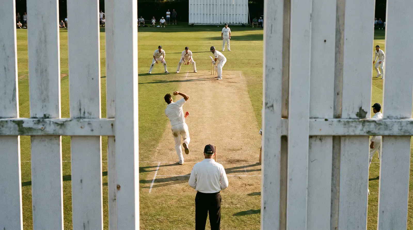 Cricket bowler and batsman facing off at the crease with fielders positioned around the pitch