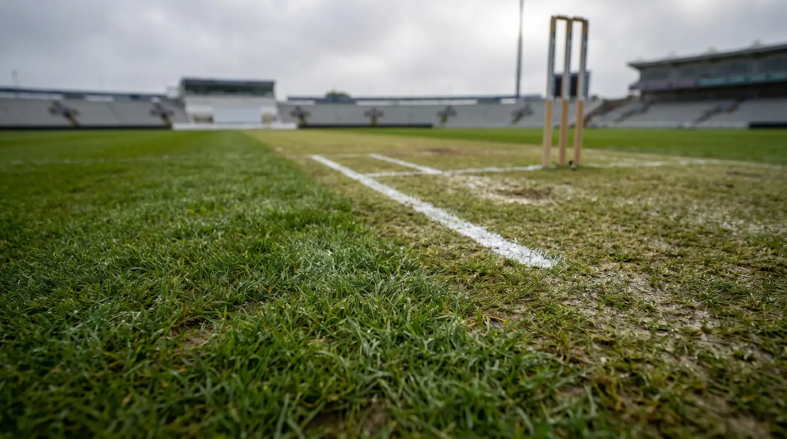 Green-tinged English cricket pitch with moisture visible on the grass before an Ashes Test