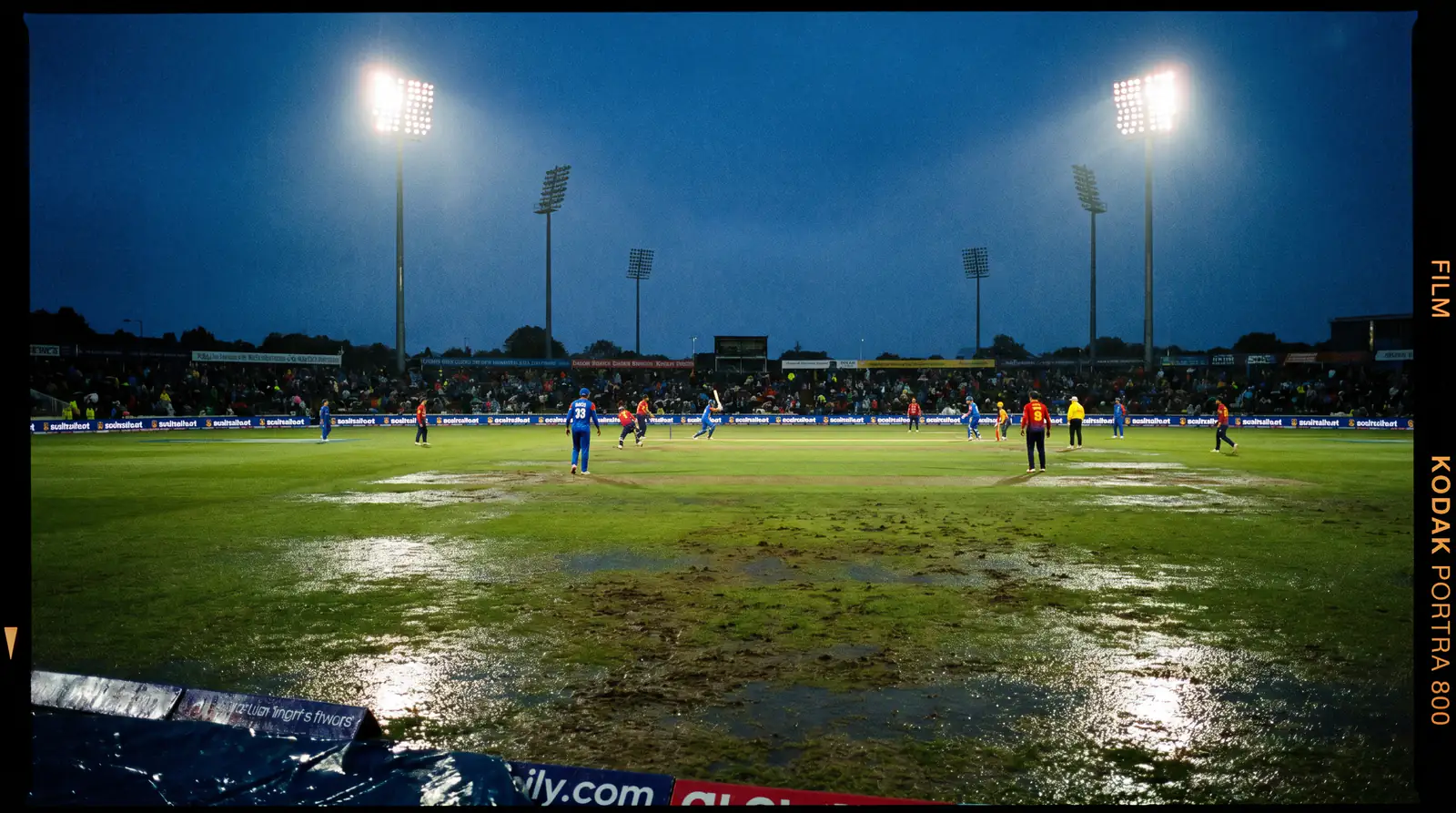 Evening cricket match under floodlights with visible dew settling on the outfield grass